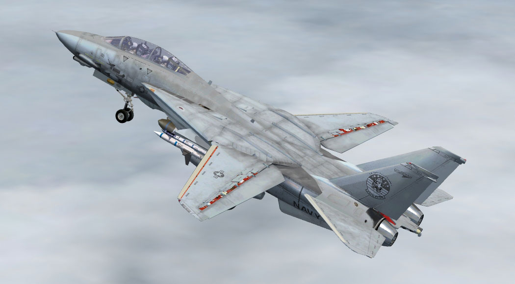 acceleration-grumman-F-14D-tomcat-fsx2.jpg