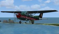 Lena Meyer-Landruth Cessna C172 in flight.