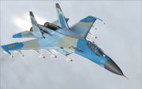 Sukhoi Su-27 in flight.