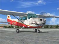 Tiburon Cessna 172SP Skyhawk on runway.