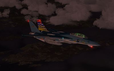 F-14B ChristyCat in flight.