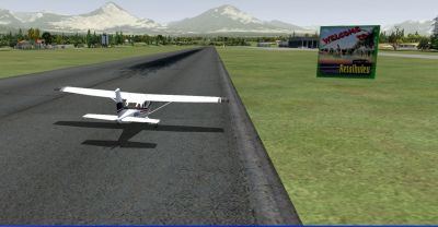 Screenshot of a plane on a runway.