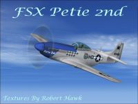 Screenshot of P-51 Petie 2nd in flight.