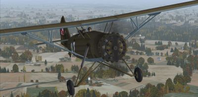 Screenshot of RWD-14b Czapla in flight.