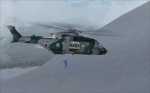 Avalanche Rescue Mission