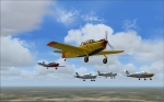 Formation flight